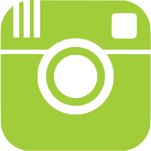 instagram-icon